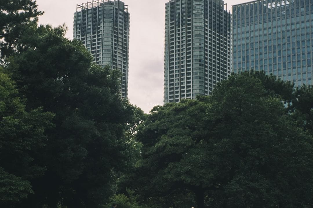 ズノーが1万円以下！Eマウント解禁！ZUNOW Cine 14mm F1.9