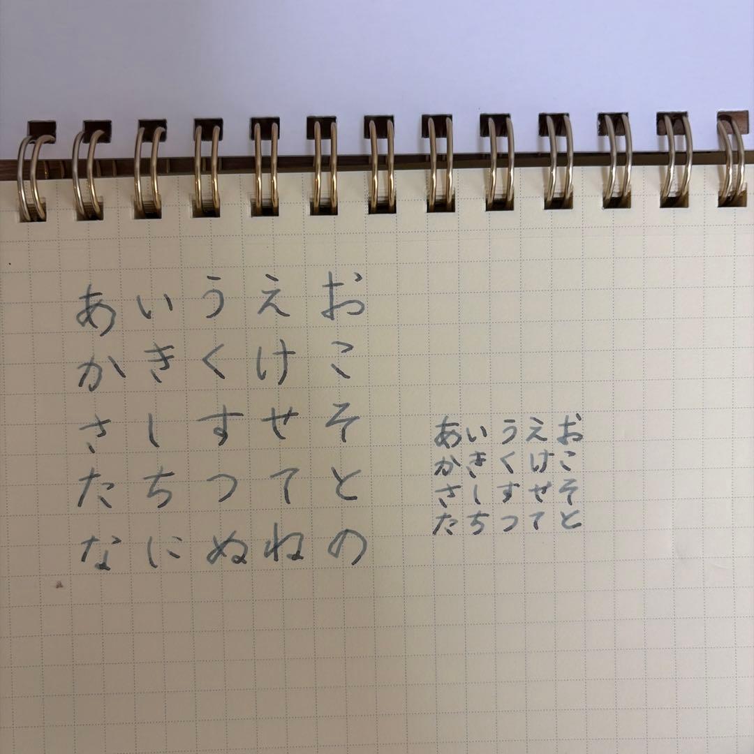 CHASKA BLUE SILVER 万年筆　B