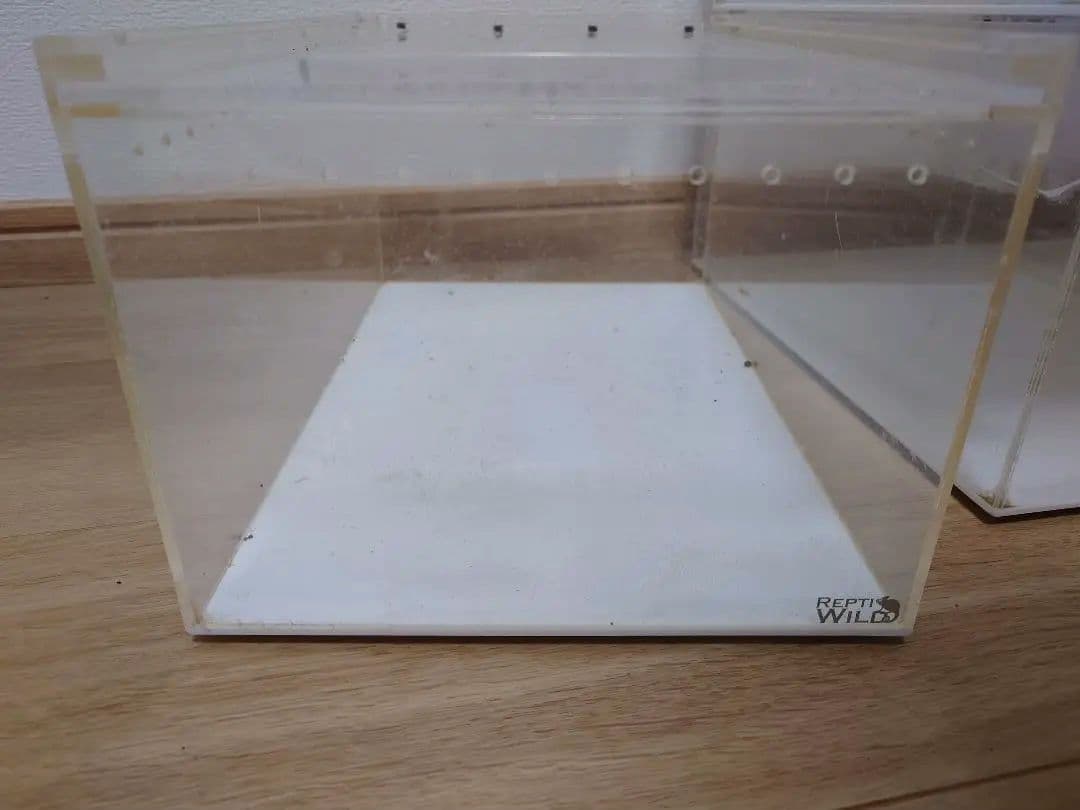 三晃商会 レプタイルボックス5個セット