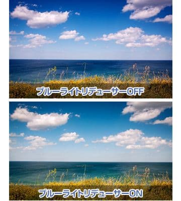 プリンストン 21.5インチ モニター ptfbld-22w 高視野角ワイド液晶