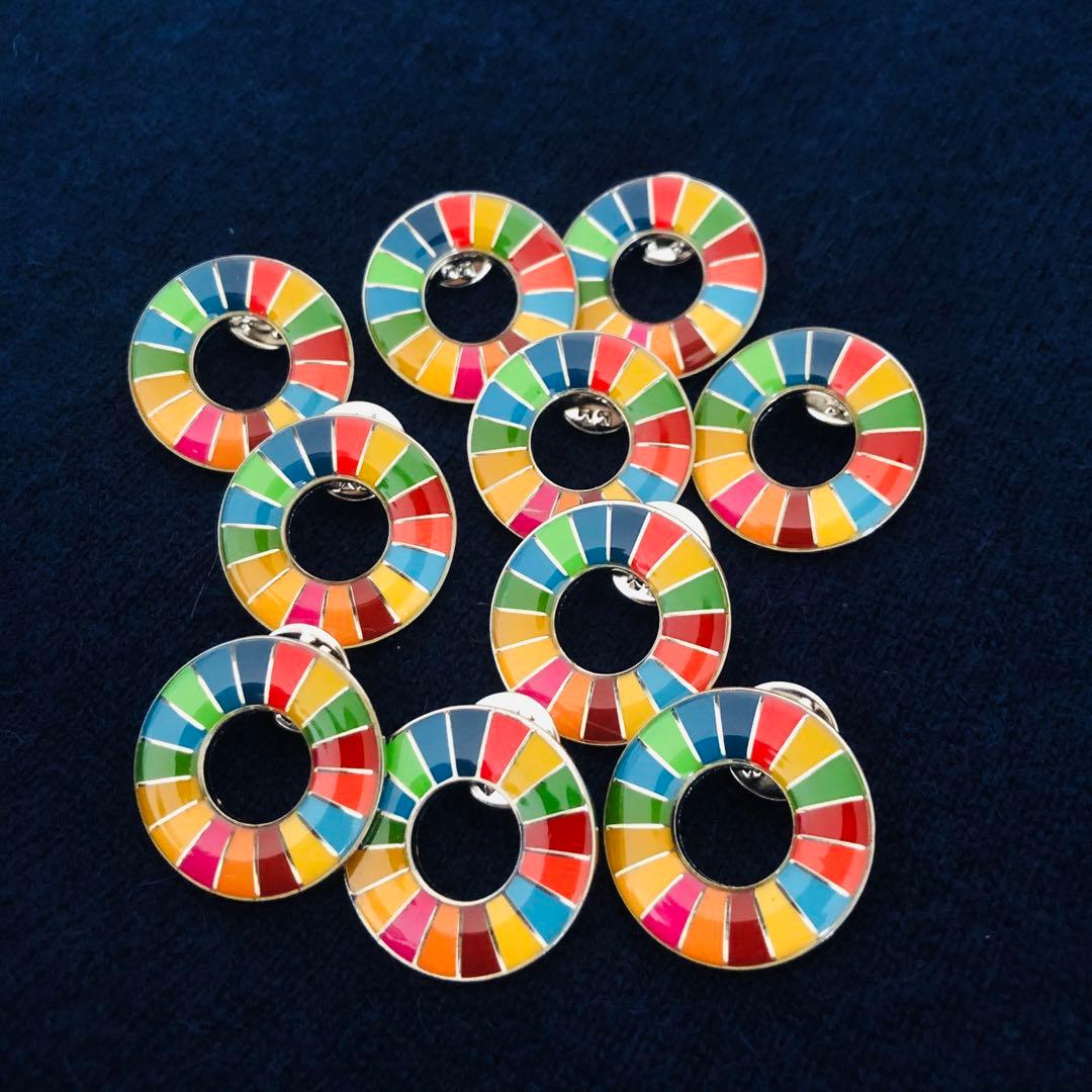 【特別提供品】SDGs  ピンバッジ　10点　新品未使用　【国連本部入手品】