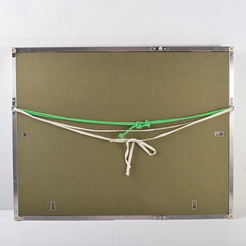 日本画家　篁牛人　水墨画　金魚　額装　M　R9236B