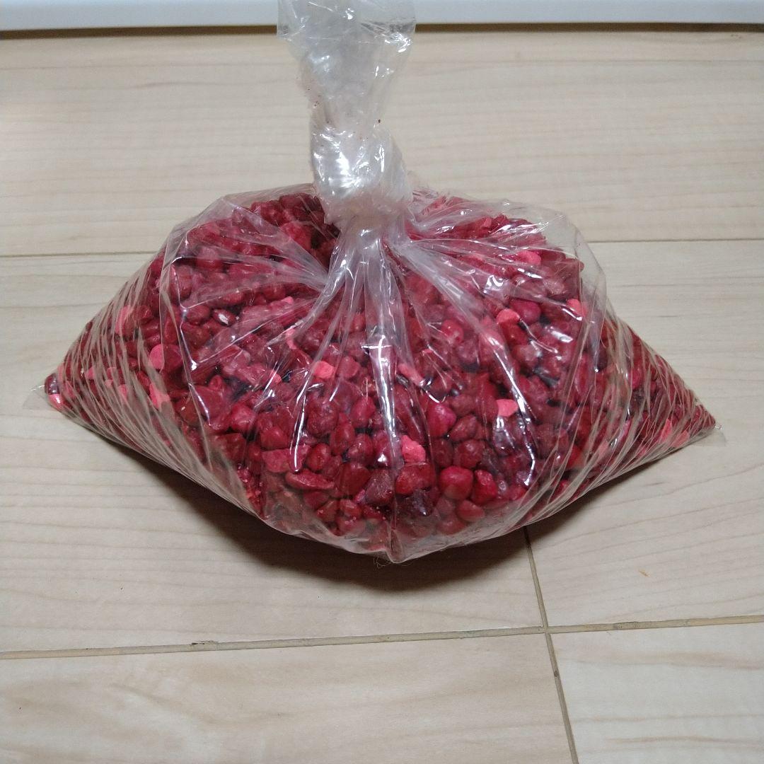 ディズニー　ミッキーマウス　アクアリウム　水槽