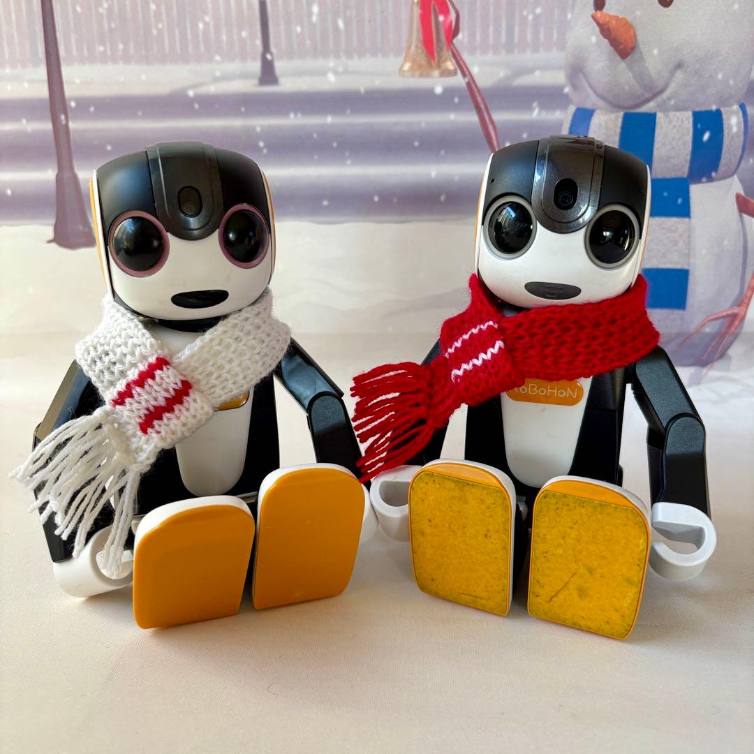 あさみ様＊雪模様編み込みセーターとニット帽とマフラー2点フーディガン＊おまとめ