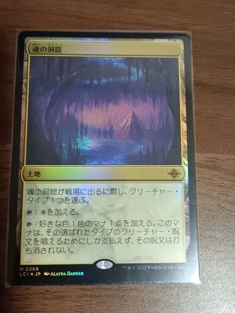 MTG 魂の洞窟（日）foil 2枚セット〔Lcl〕