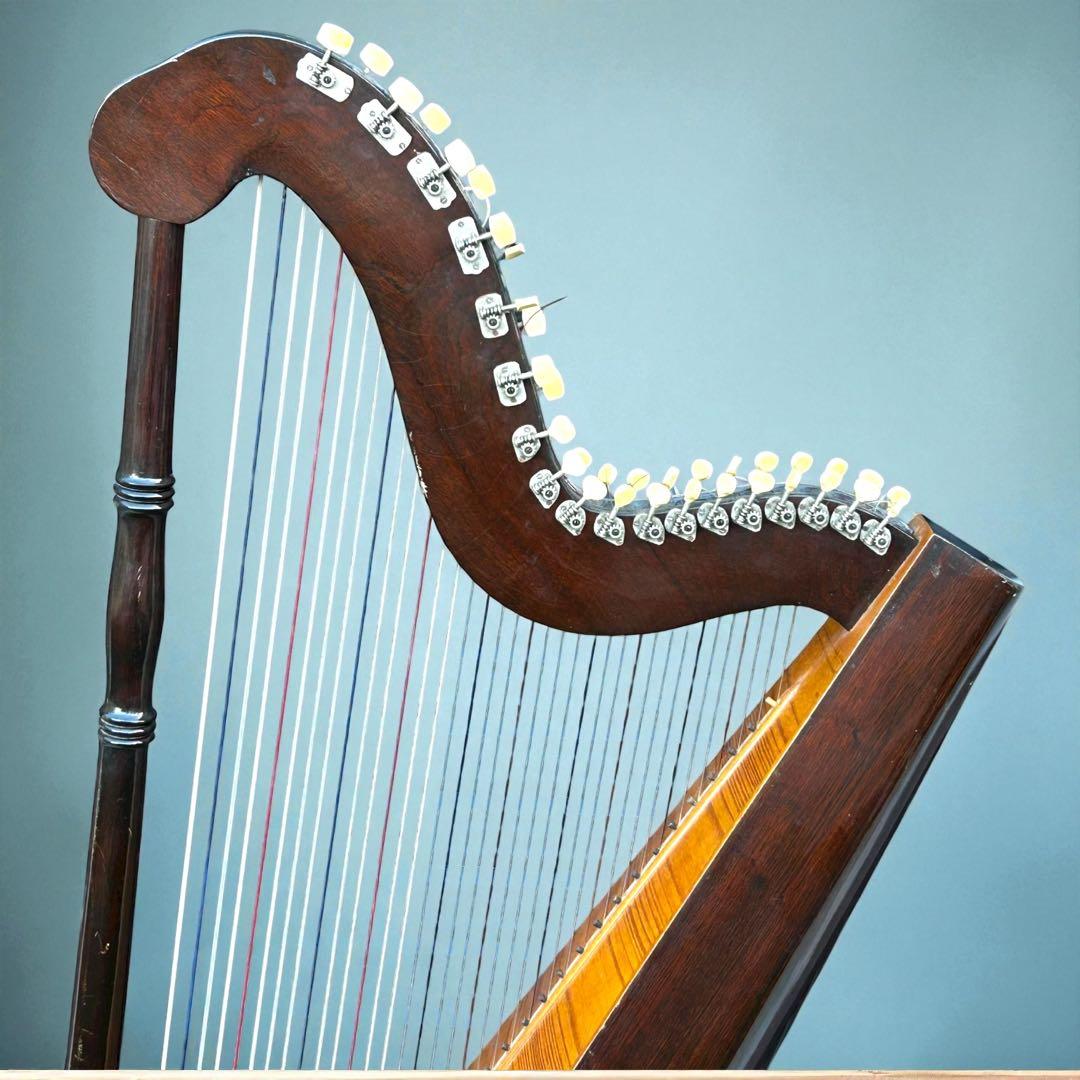 稀少品✨送料込み❣️パラグアイハープ Mangoré 36弦 本格手工民族楽器