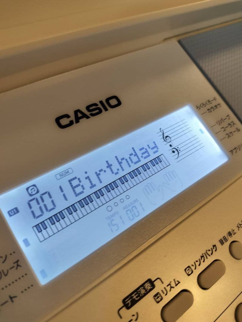CASIO カシオ キーボード LK-515