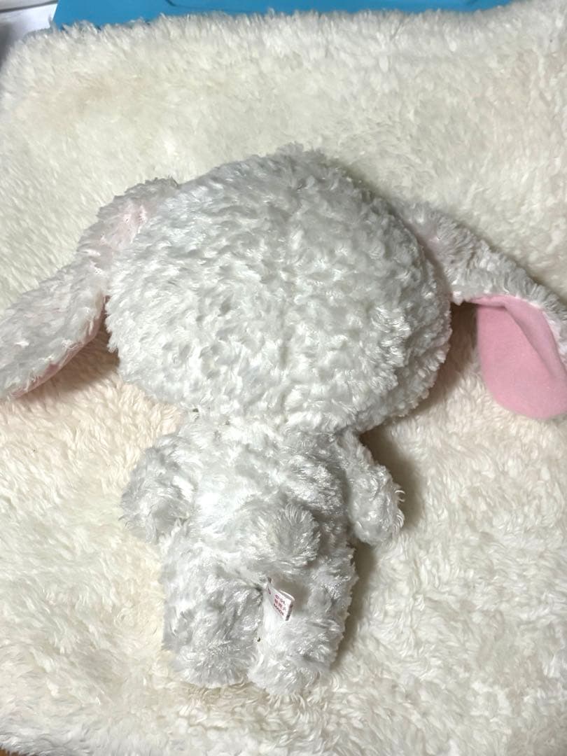 シュガーバニーズ　しろうさ