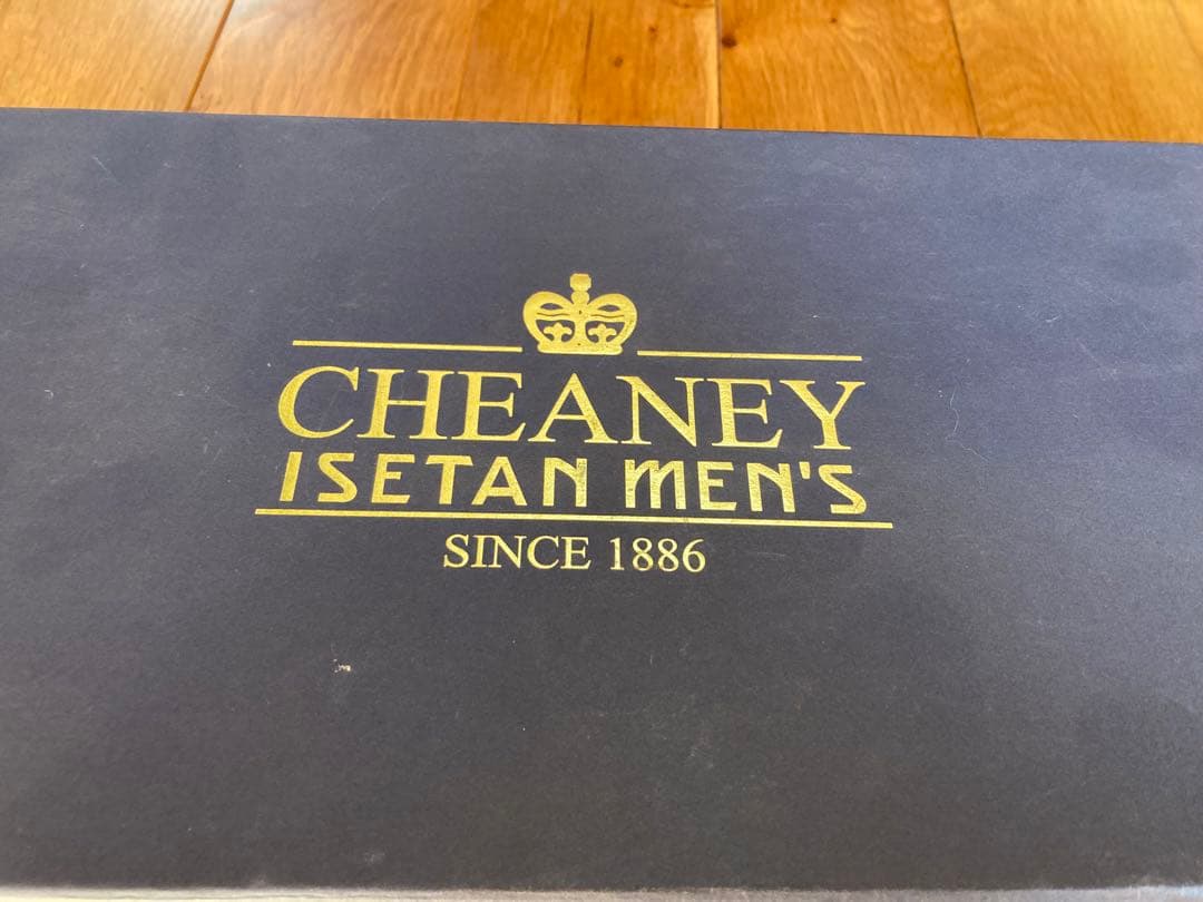 靴 CHEANY ISETAN men's 8 1/2