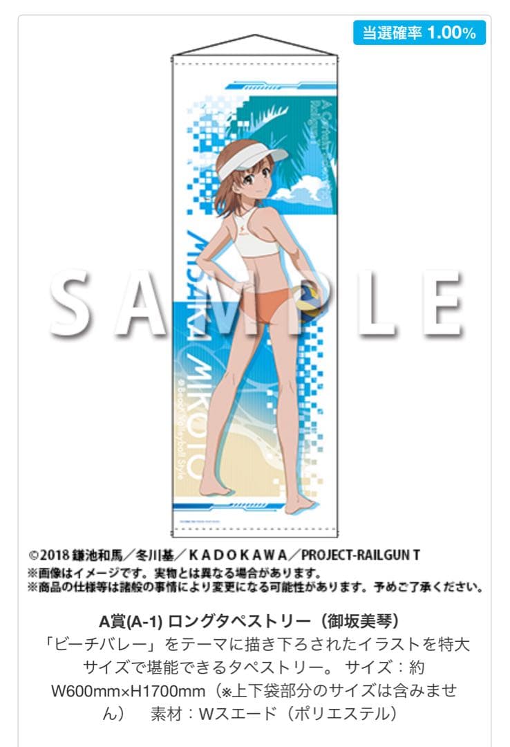 とある科学の超電磁砲 御坂美琴 ビーチバレー タペストリー