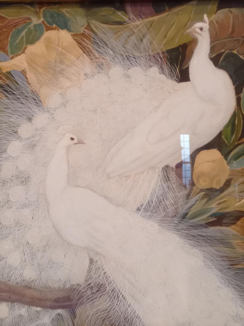 白孔雀 黄花 クジャク アートポスター 額付き フレーム付 アメリカ