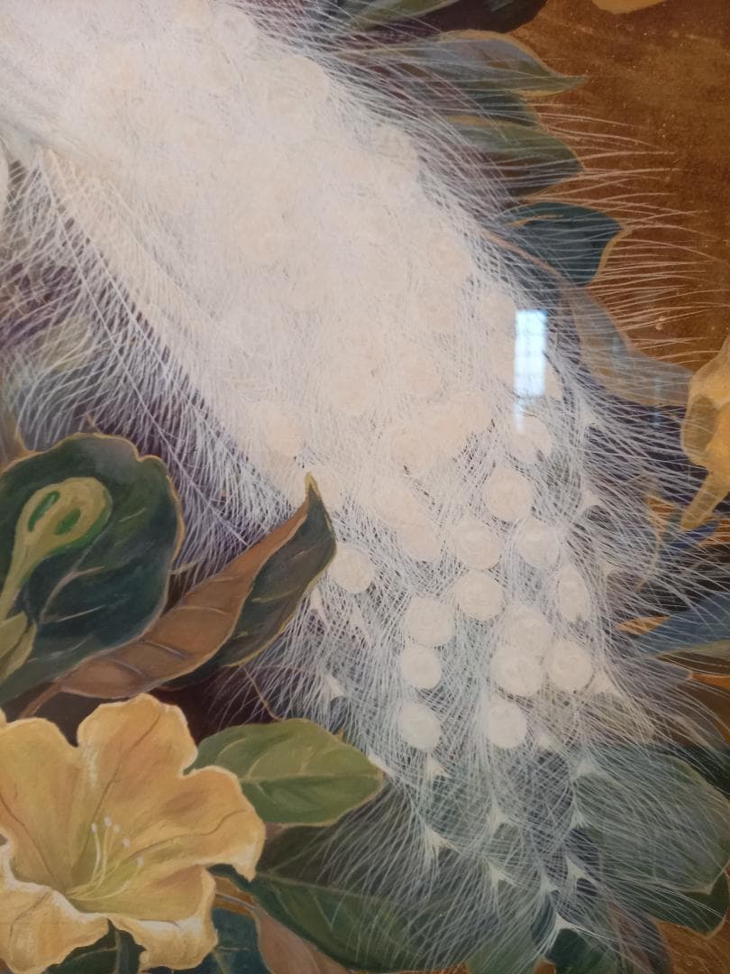 白孔雀 黄花 クジャク アートポスター 額付き フレーム付 アメリカ