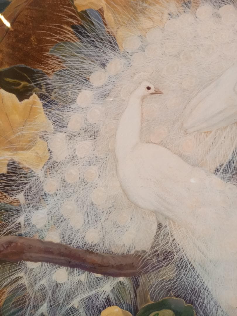 白孔雀 黄花 クジャク アートポスター 額付き フレーム付 アメリカ