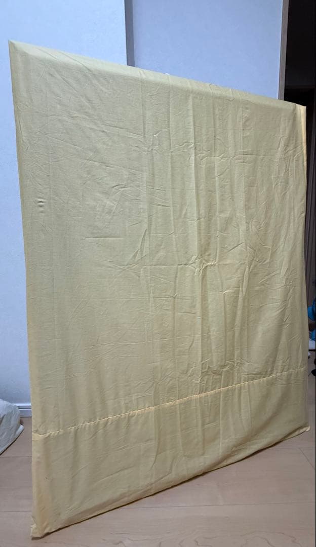 クリスチャン　ラッセン　スターリーアイズL 直筆彩色あり　直筆サイン　イルカ　海