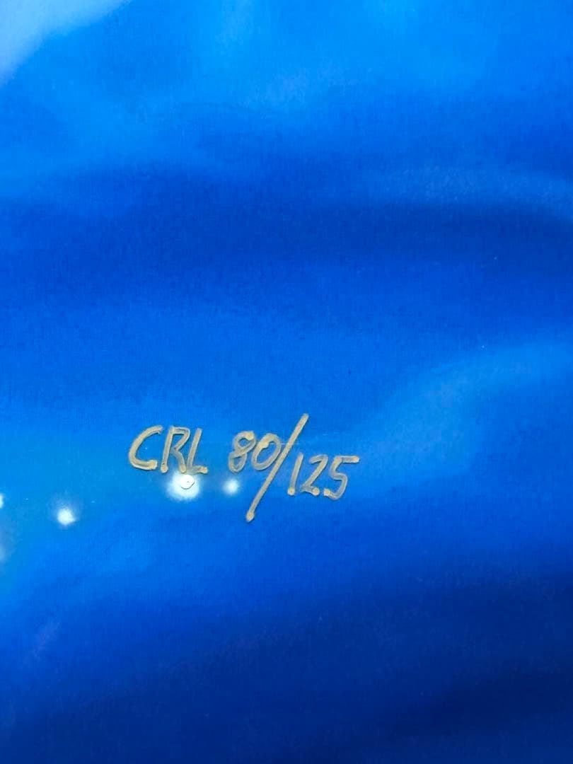 クリスチャン　ラッセン　スターリーアイズL 直筆彩色あり　直筆サイン　イルカ　海