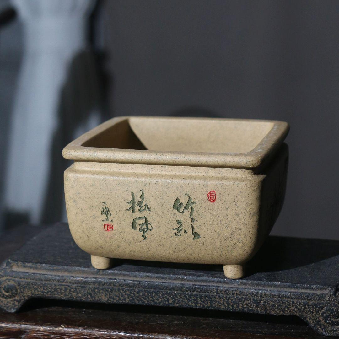 四方刻絵竹子紫砂鉢 大盆栽 小盆栽 多肉植物鉢