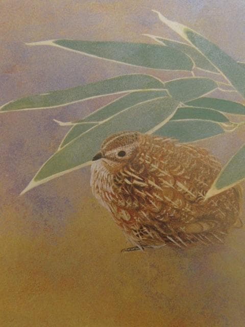 茂木辰也、【初霜】、希少な額装用画集より、新品額装付