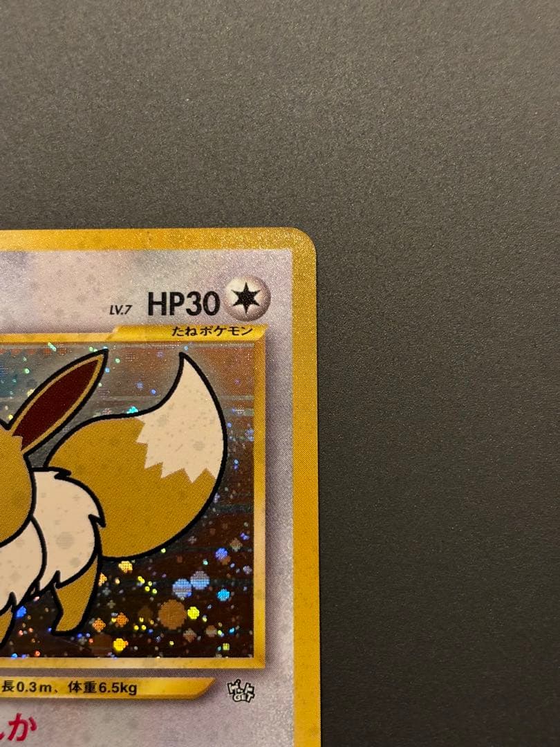 イーブイ_「ポケモンカードファンクラブ」 特製カード (500 ポイント) P…