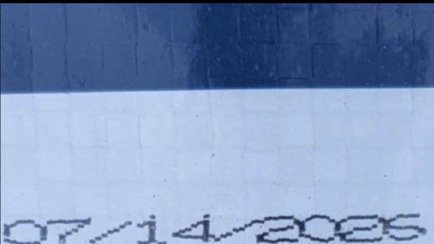 セレクトバランス パピーラム　子犬・母犬用15kg