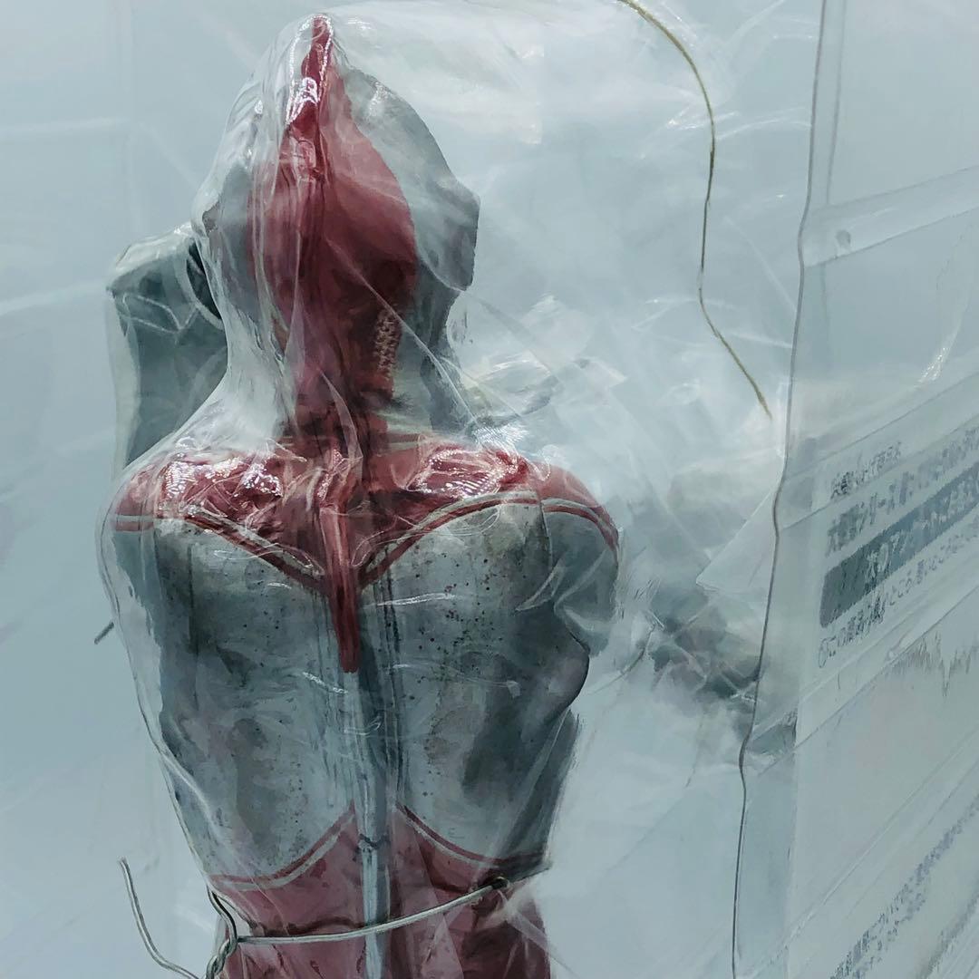 エクスプラス 大怪獣シリーズ 帰ってきたウルトラマン 少年リック限定版