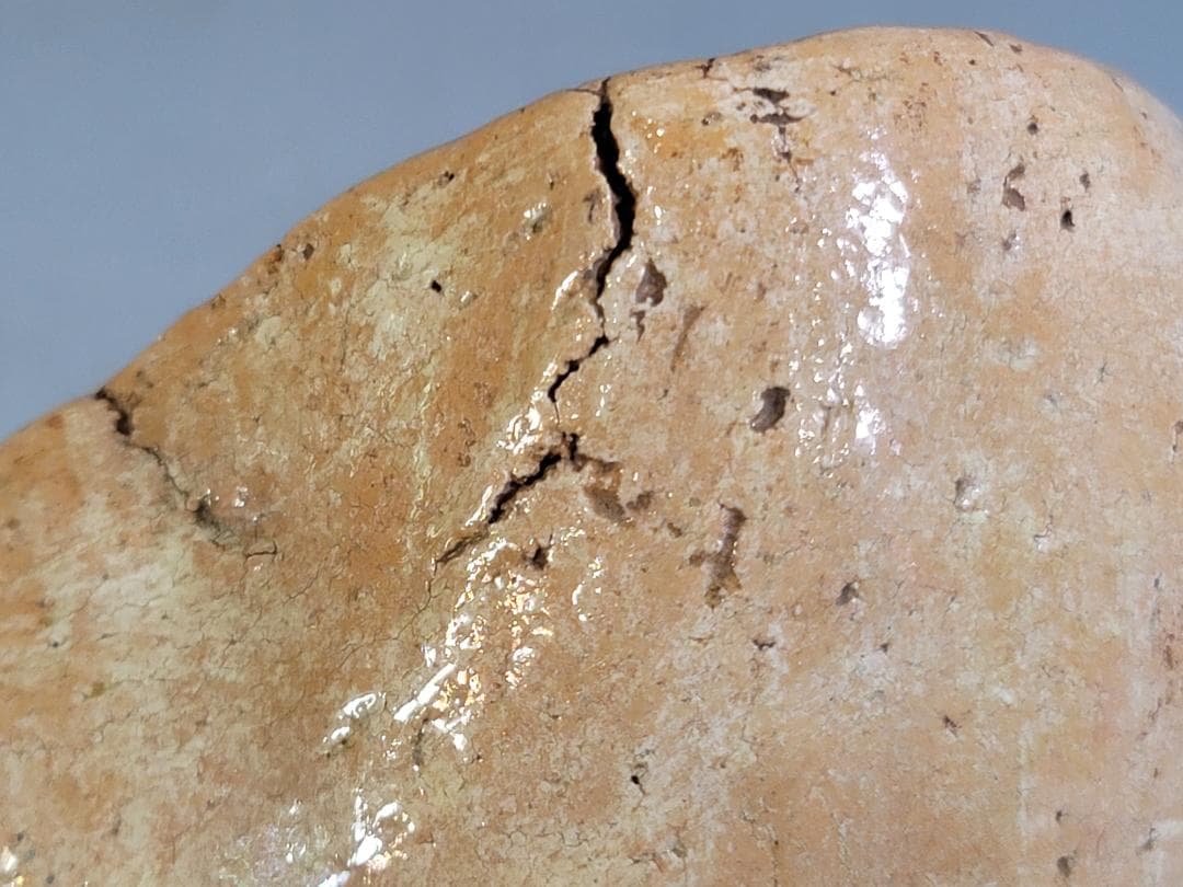 茶道具 古萩 沓茶碗 時代物 DT252