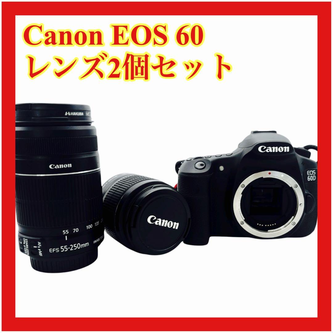 Canon EOS 60D レンズ 2個セット