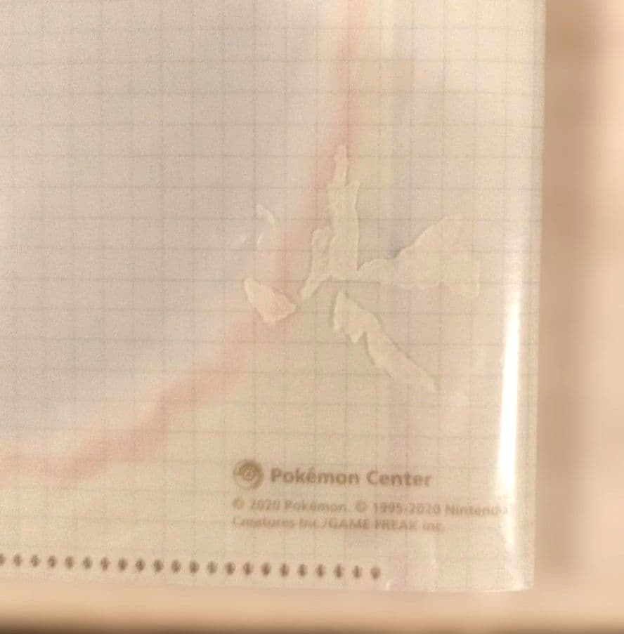 【レア】ポケモンセンター A4クリアファイル6ポケット「…じゃない」ポケモンたち