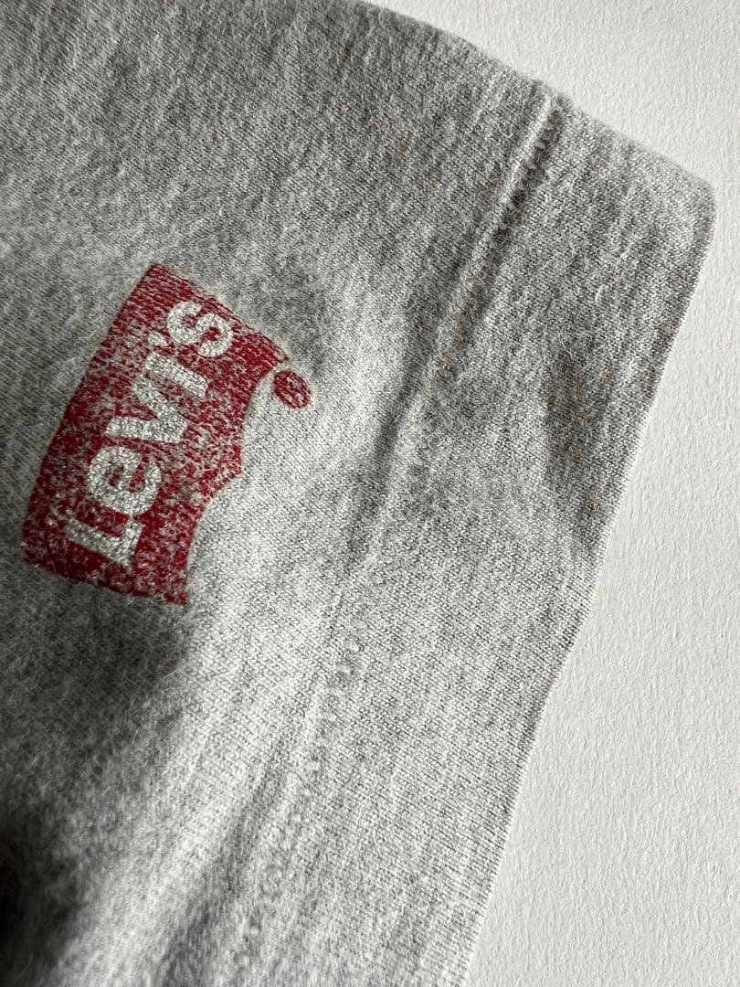 ミッシェルガンエレファント Tシャツ グレー　levi's チバユウスケ