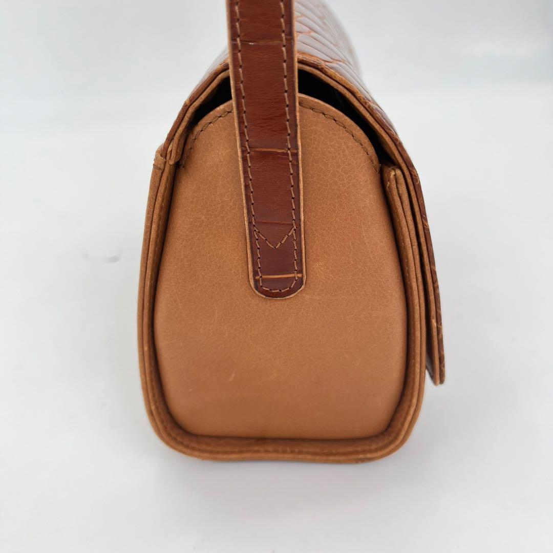 【希少品】LOEWE ショルダーバッグ 斜めがけ アナグラム シャイニングクロコ