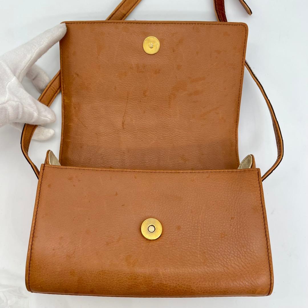 【希少品】LOEWE ショルダーバッグ 斜めがけ アナグラム シャイニングクロコ