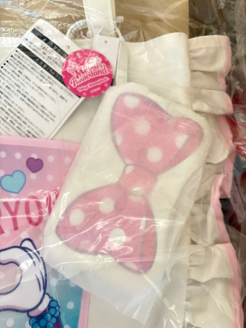 ミニーのファンダーランド　フリルトートバッグ　2024 パルパルーザ　新品