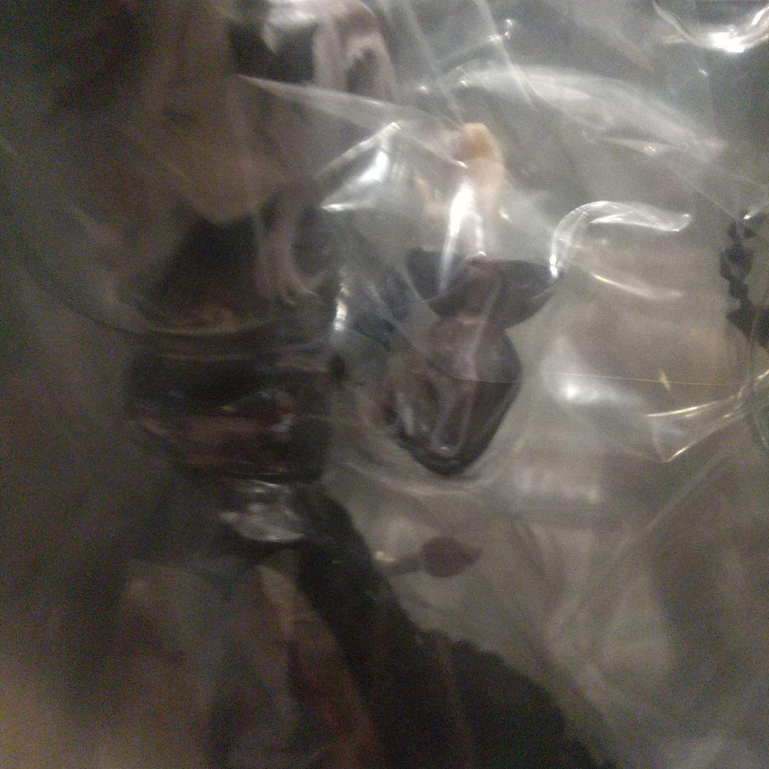 専用 ホロライブ 一番くじ フィギュア 2体 ちょこのっこ 1つ