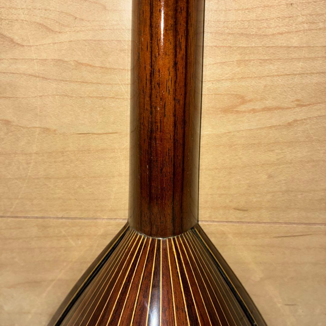 TSUNEO FUJIMARU MODEL ikegaku ANNO マンドリン