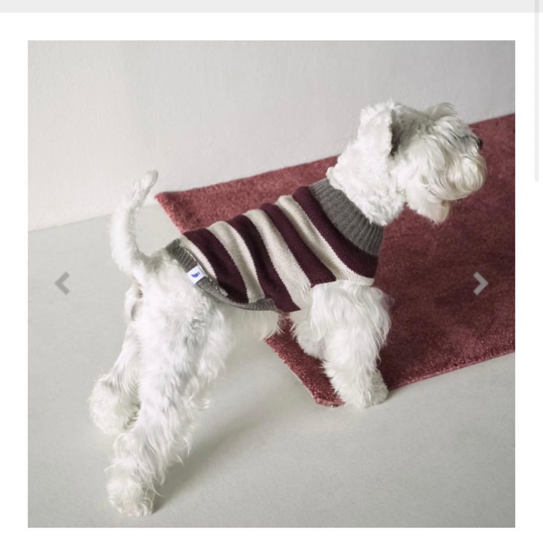 PEGION THE PAINTER'S WIFE（ザ ペインターズ ワイフ