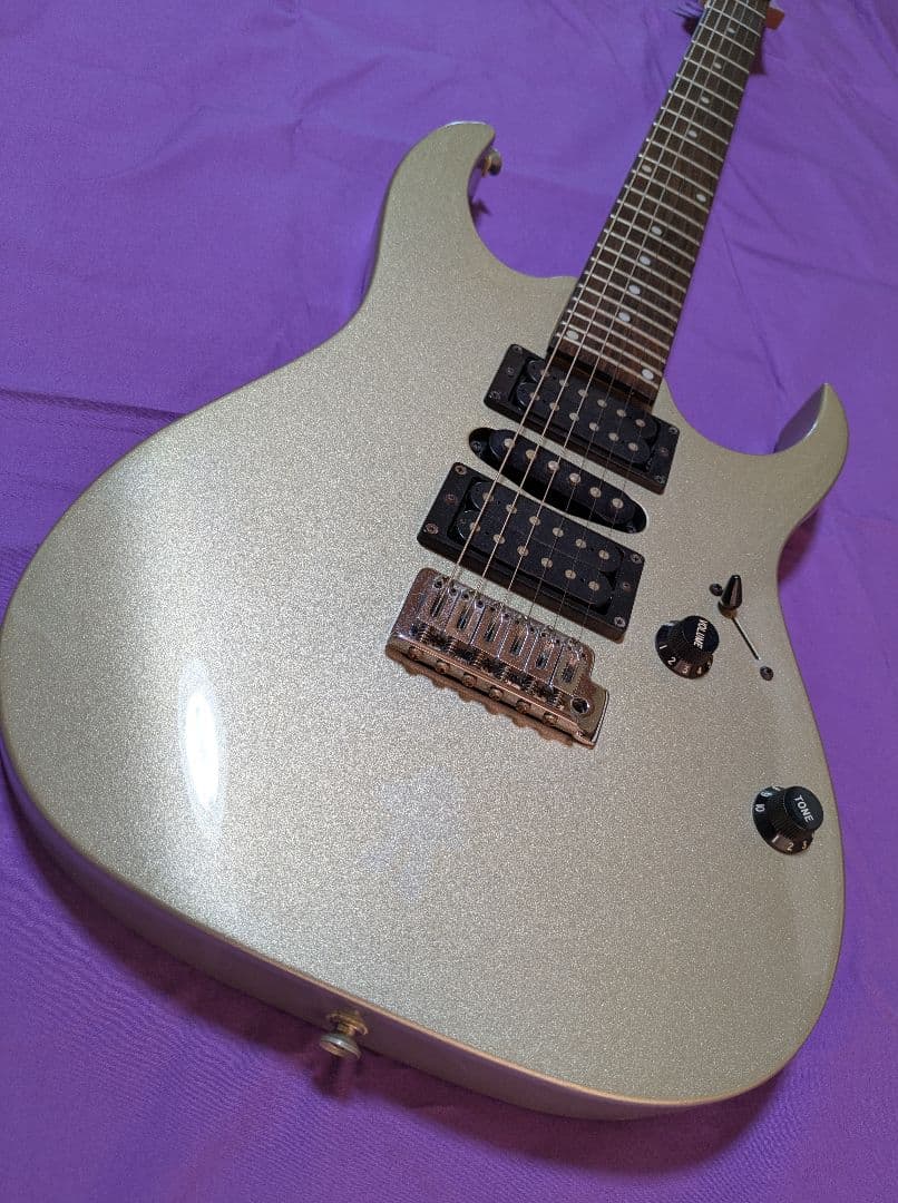 アイバニーズ RG シリーズ シルバー