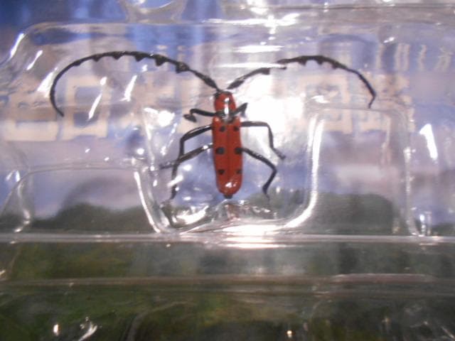 原色日本昆虫図鑑Ⅰ・Ⅱ 箱 フィギュア 6点付 YUJIN