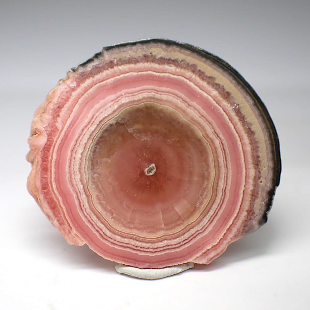 【アルゼンチン産】インカローズ