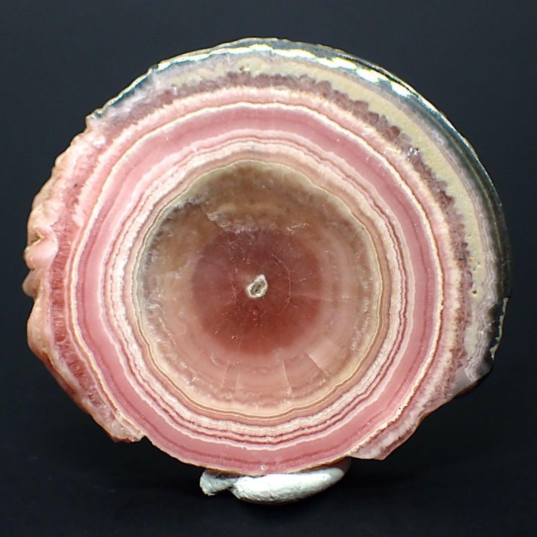 【アルゼンチン産】インカローズ