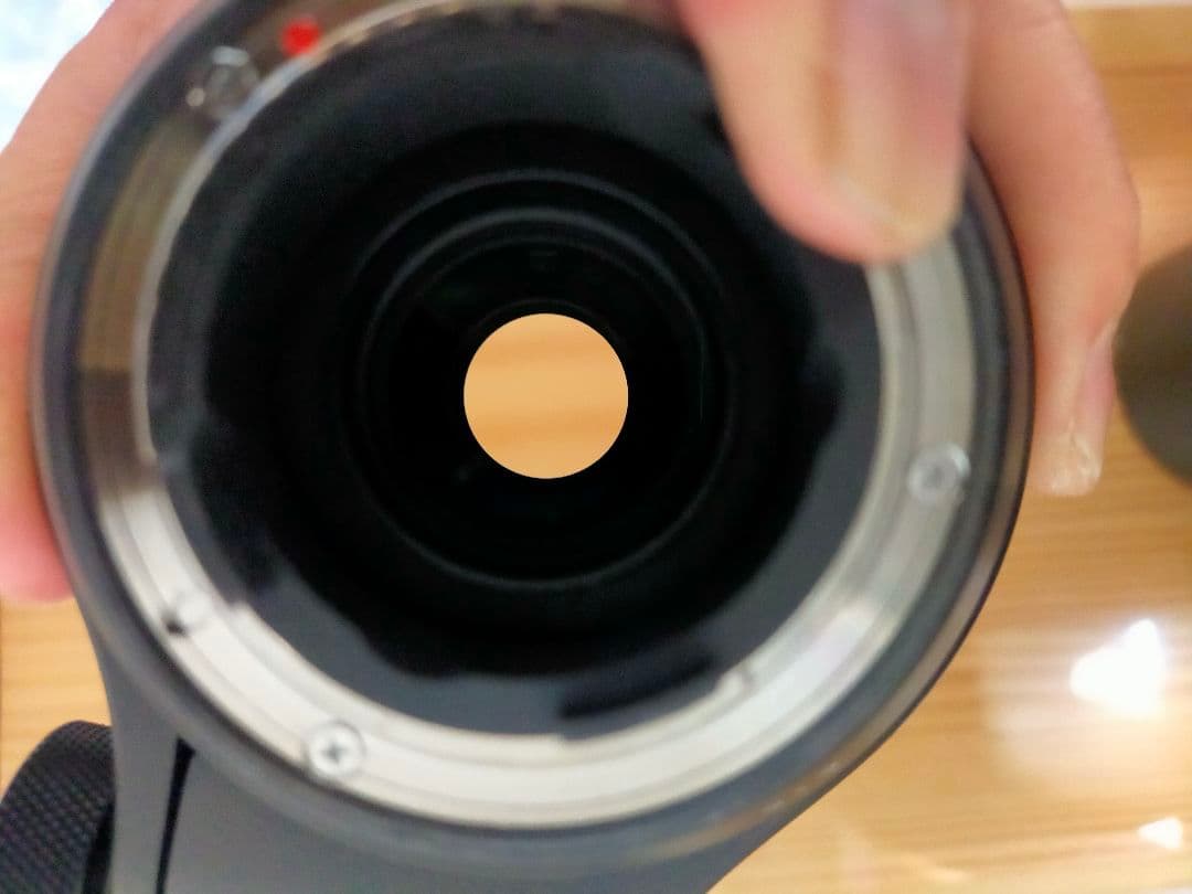 SIGMA シグマ Contemporary 150-600mm F5-6.3