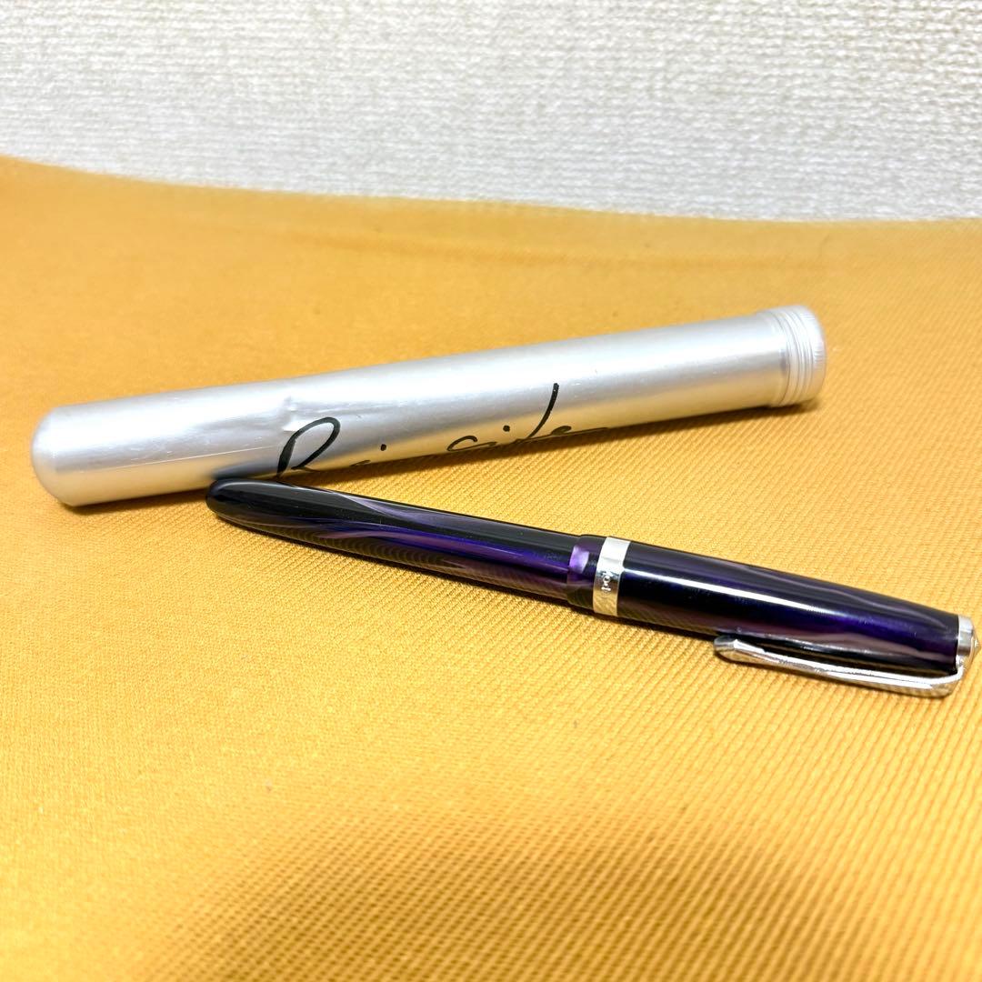 特殊な？万年筆４本セット モンテヴェルデ　オムニフレックス　長刃ペン先　ほか