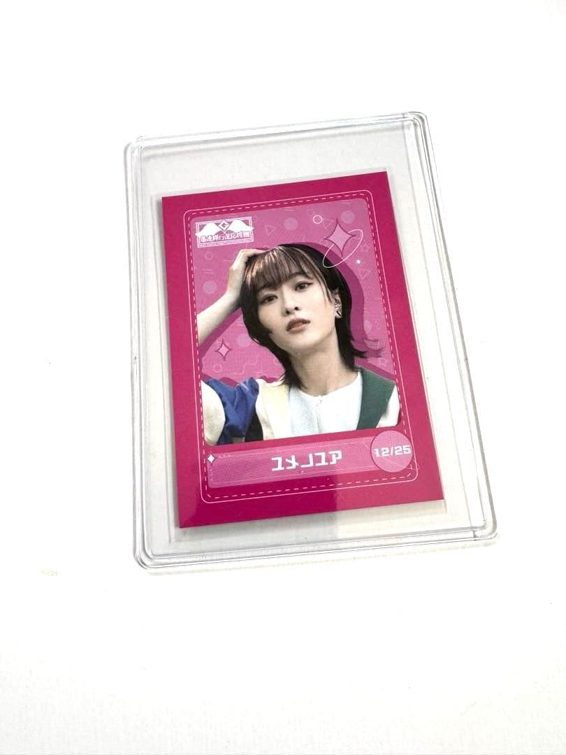 チャンベイビーギャンパレグッズセット売り