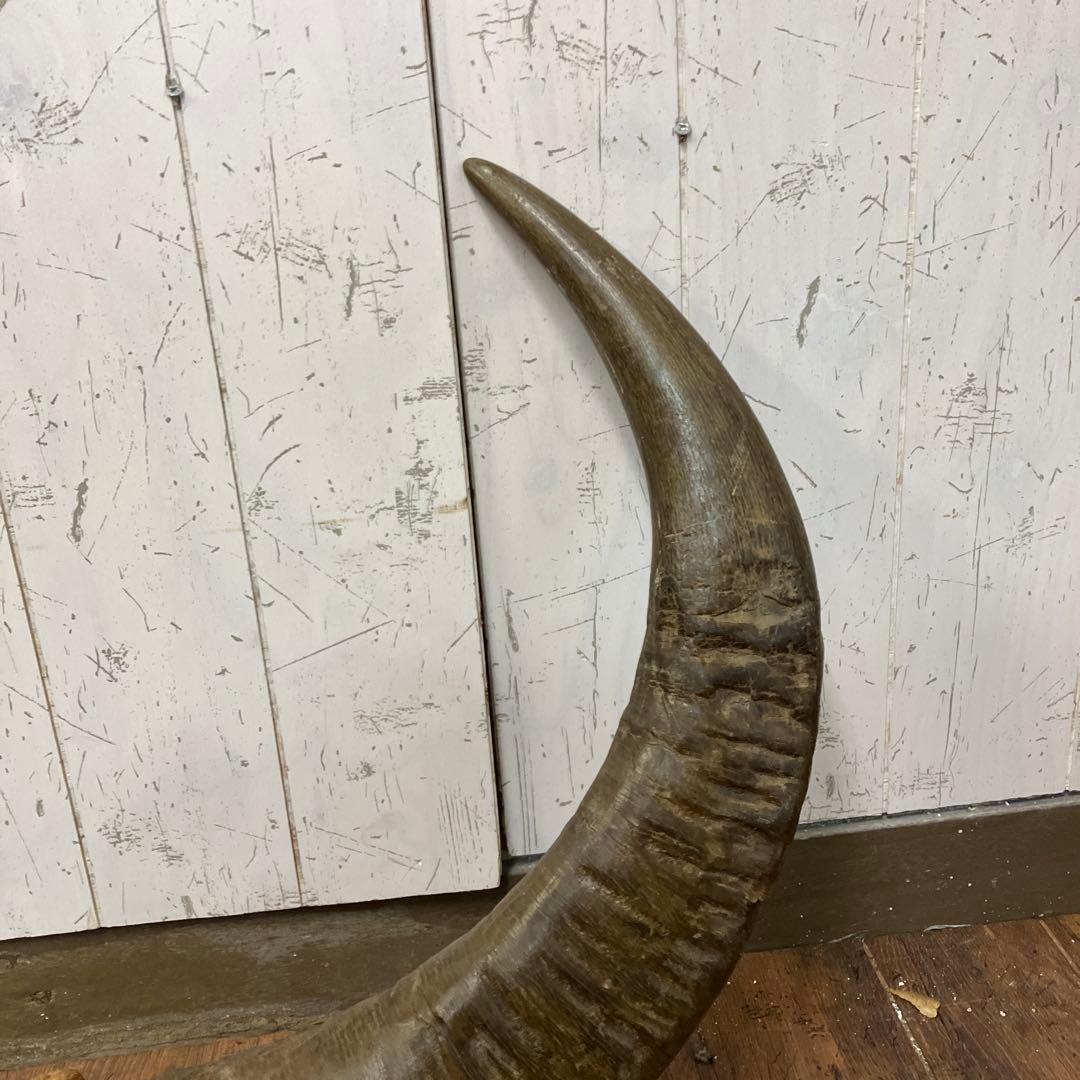 A-2 アンティーク ヴィンテージ 水牛 角 置物 ディスプレイ 彫り 彫刻