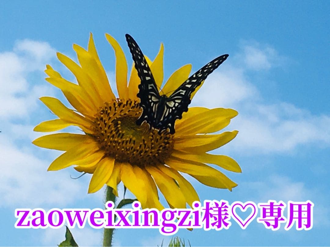 zaoweixingzi様❤️おまとめ専用ページです。2/8まで♡