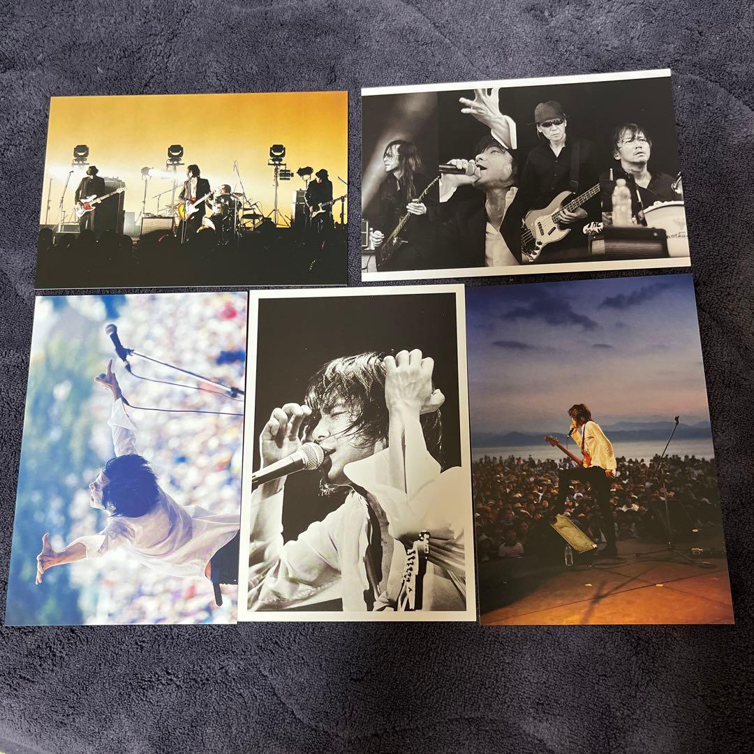 初版 明日に向かって歩け エレファントカシマシ 宮本浩次 本とポストカード