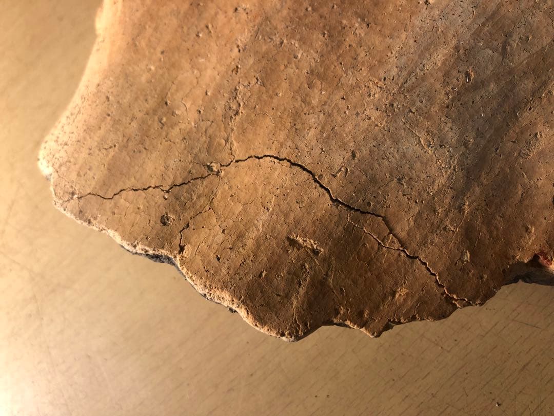 「土器の欠片 縁の部分 No.697」です。