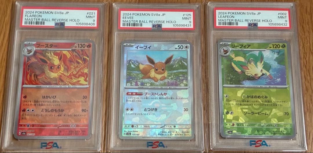 ブイズ　マスターボールミラー　PSA9 テラスタルフェス　ブラッキー