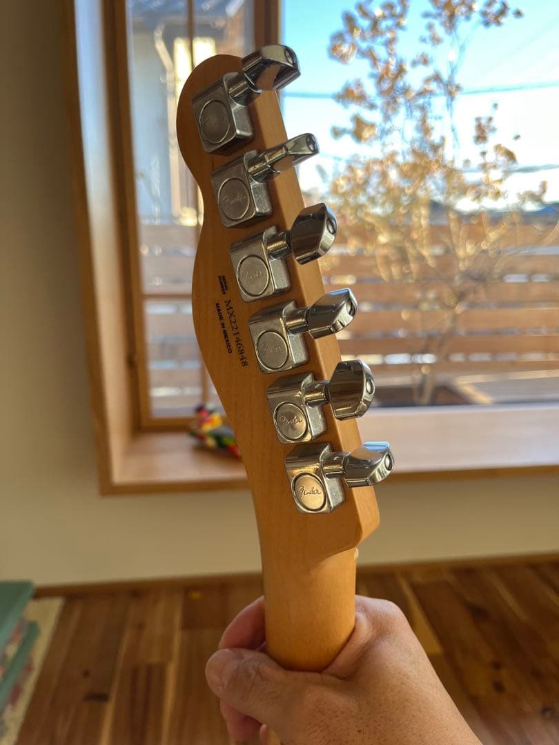Fender Telecaster プレイヤー