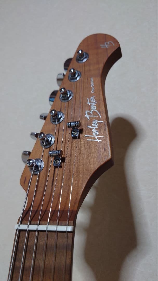 Harley Benton Fusion Ⅲ ギグバッグセット