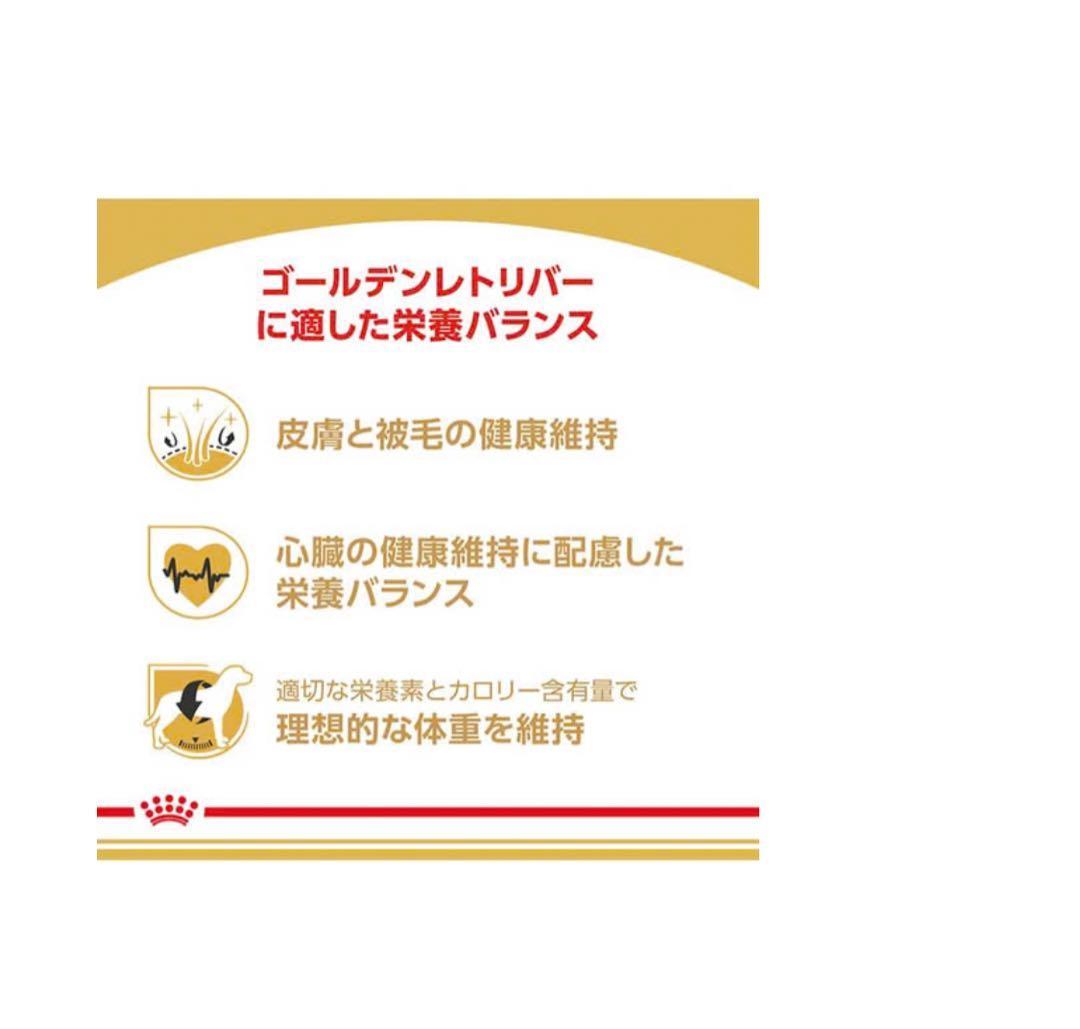  CANIN ゴールデンレトリバー 12kg