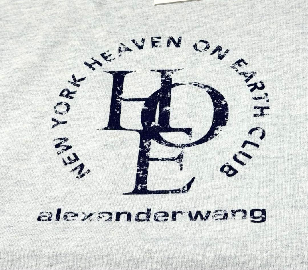 登坂広臣着用alexanderwang ノースリーブ